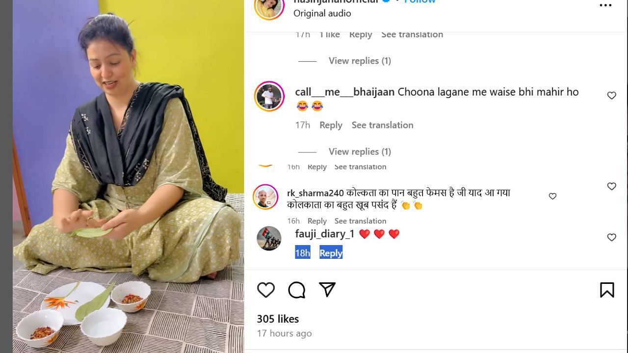 हसीन जहां पर फैन ने कसा तंज (photo credit: instagram/hasinjahanofficial)